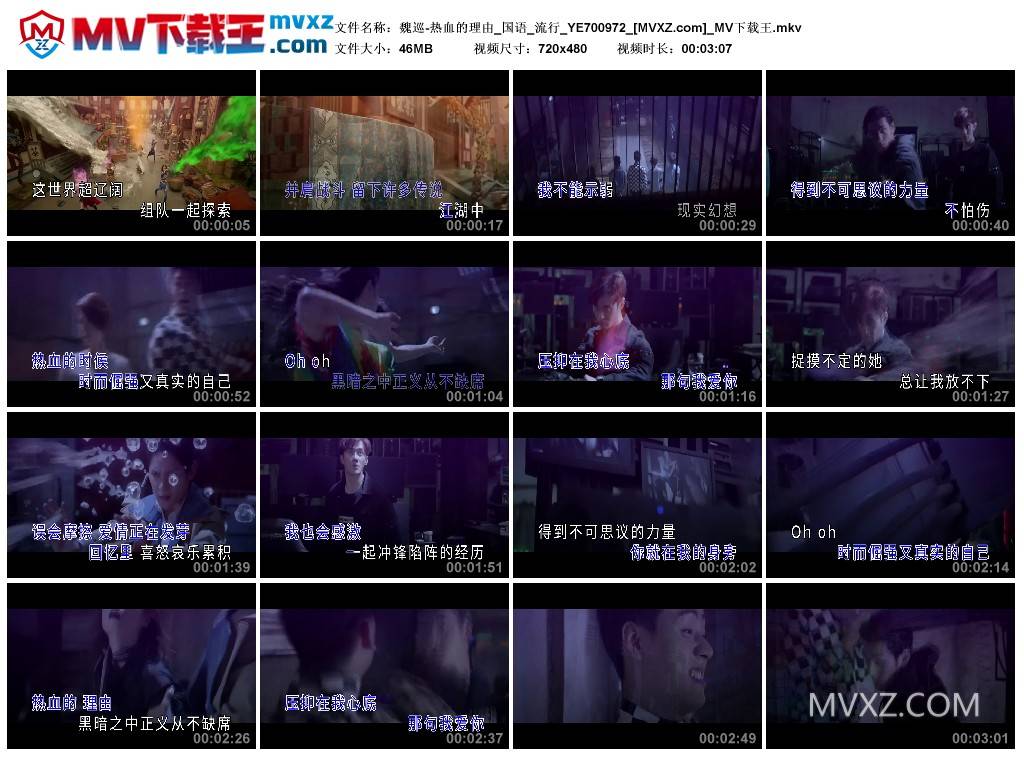 魏巡-热血的理由_国语_流行_YE700972